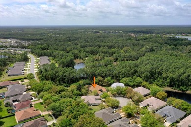 Located in the highly sought after Halifax Plantation Golf - photo 52