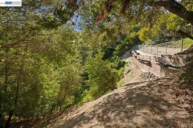 Rare opportunity to build on a magnificent 7.18+/- acre estate - photo 22