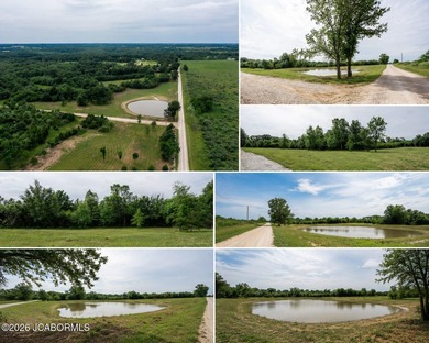 These Mark Twain Lake acreage lots are located along the - photo 1
