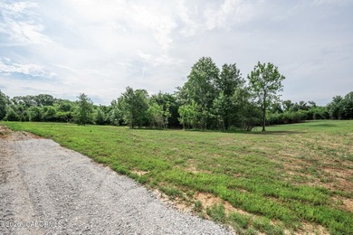 These Mark Twain Lake acreage lots are located along the - photo 4