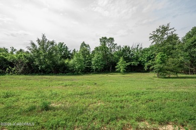 These Mark Twain Lake acreage lots are located along the - photo 5