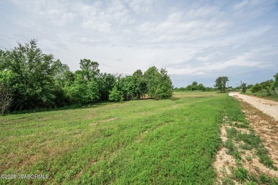 These Mark Twain Lake acreage lots are located along the - photo 6