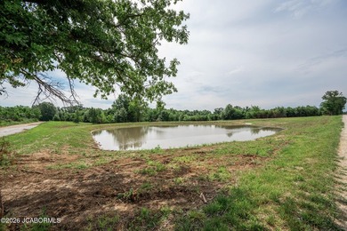 These Mark Twain Lake acreage lots are located along the - photo 7