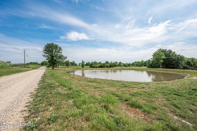 These Mark Twain Lake acreage lots are located along the - photo 8