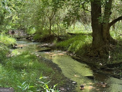 A rare 121.12-acre tract with 1,340 feet of paved frontage on - photo 4