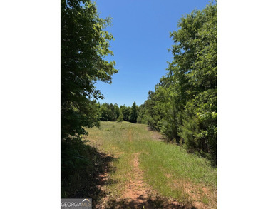 A rare 121.12-acre tract with 1,340 feet of paved frontage on - photo 5