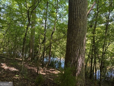 A rare 121.12-acre tract with 1,340 feet of paved frontage on - photo 6