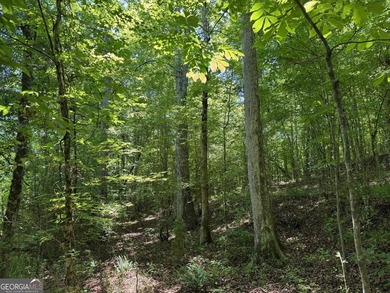 A rare 121.12-acre tract with 1,340 feet of paved frontage on - photo 8