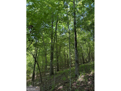 A rare 121.12-acre tract with 1,340 feet of paved frontage on - photo 9
