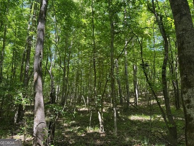 A rare 121.12-acre tract with 1,340 feet of paved frontage on - photo 10
