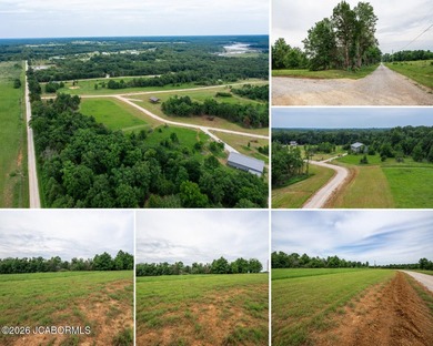 These Mark Twain Lake acreage lots are located along the - photo 1