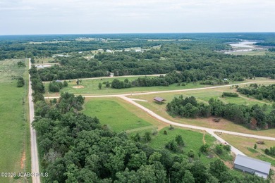 These Mark Twain Lake acreage lots are located along the - photo 4
