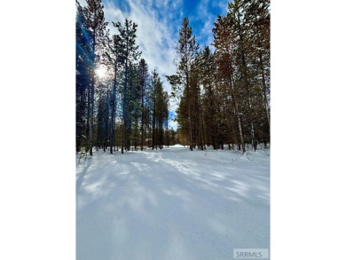 Lake Lot For Sale in Island Park, Idaho