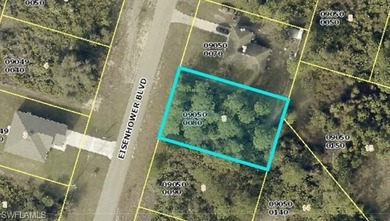 Lehigh Acres Area Lot For Sale in Lehigh Acres Florida