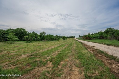 These Mark Twain Lake acreage lots are located along the - photo 6