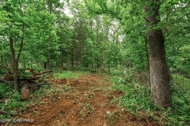 These Mark Twain Lake acreage lots are located along the - photo 8