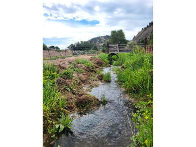 Welcome to the Seago Development Ranch. This amazing property - photo 5