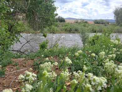 Welcome to the Seago Development Ranch. This amazing property - photo 6