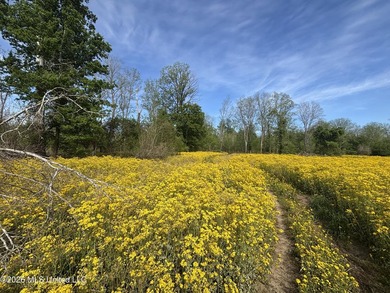 'Welcome to Duckport, a true legacy whitetail and waterfowl - photo 30