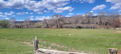 Welcome to the Seago Development Ranch. This amazing property - photo 10