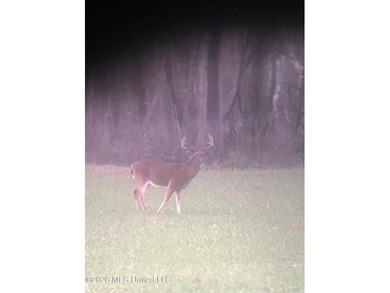 'Welcome to Duckport, a true legacy whitetail and waterfowl - photo 34