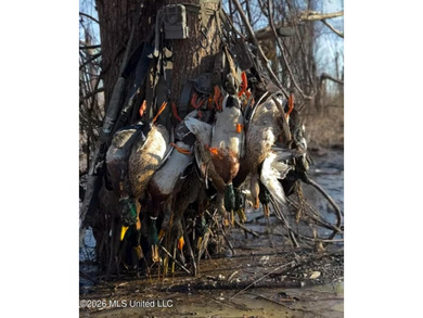 'Welcome to Duckport, a true legacy whitetail and waterfowl - photo 36