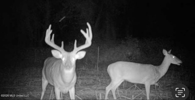 'Welcome to Duckport, a true legacy whitetail and waterfowl - photo 38