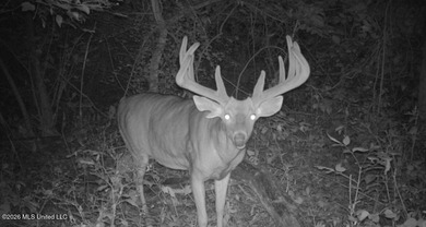 'Welcome to Duckport, a true legacy whitetail and waterfowl - photo 39