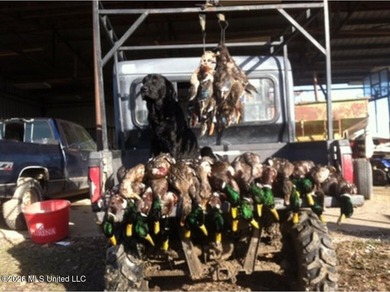 'Welcome to Duckport, a true legacy whitetail and waterfowl - photo 40