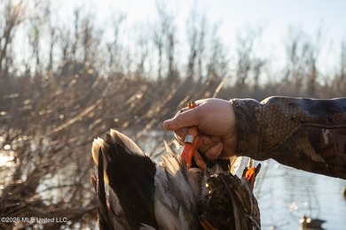 'Welcome to Duckport, a true legacy whitetail and waterfowl - photo 41