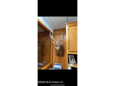'Welcome to Duckport, a true legacy whitetail and waterfowl - photo 42