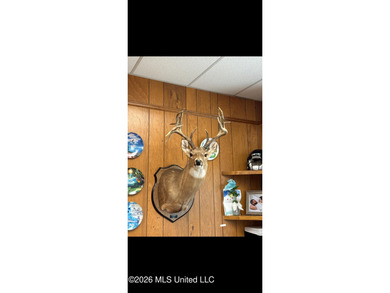 'Welcome to Duckport, a true legacy whitetail and waterfowl - photo 43