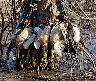 'Welcome to Duckport, a true legacy whitetail and waterfowl - photo 44
