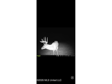 'Welcome to Duckport, a true legacy whitetail and waterfowl - photo 46