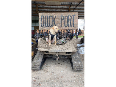 'Welcome to Duckport, a true legacy whitetail and waterfowl - photo 49