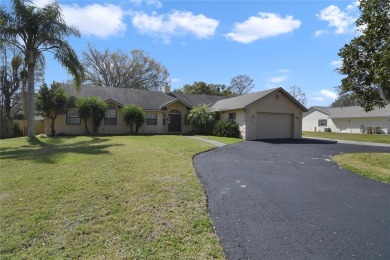 Lake Eustis Home For Sale in Leesburg Florida