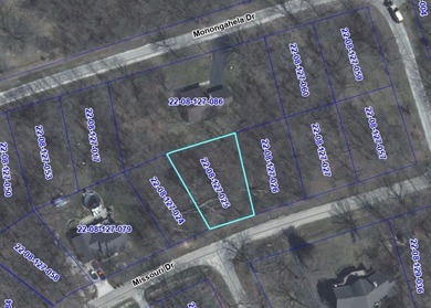 Lost Lake Lot For Sale in Dixon Illinois