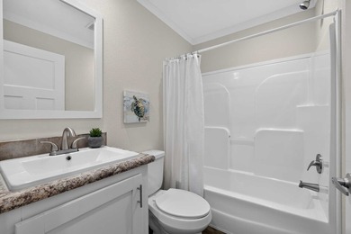 Welcome home to this stunning **brand-new 3-bedroom, 2-bath - photo 13
