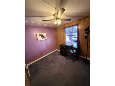 Rare Find in Lake June Hills - 3 Bedrooms, 2 Baths + Golf Cart - photo 17