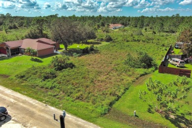 Lehigh Acres Area Lot For Sale in Lehigh Acres Florida