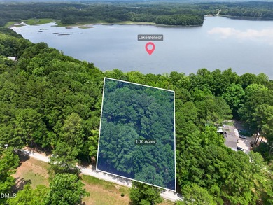 This is a rare opportunity to own a piece of paradise on Lake - photo 4