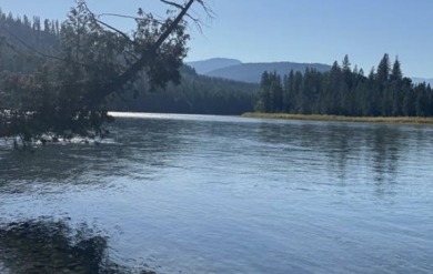Stellar Log Home on the Kootenai River! - photo 2