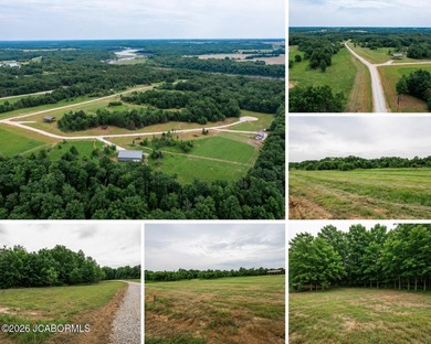 These Mark Twain Lake acreage lots are located along the - photo 1