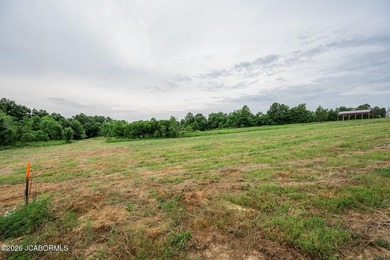 These Mark Twain Lake acreage lots are located along the - photo 8