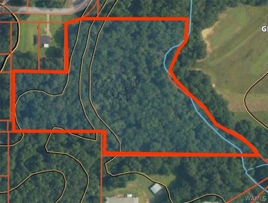 (private lake, pond, coastal) Acreage For Sale in Cottondale Alabama
