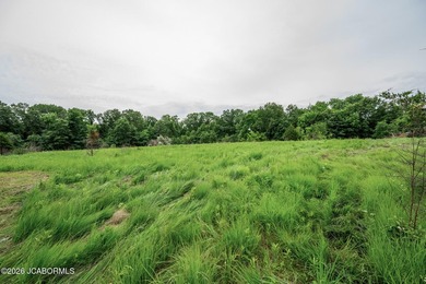 These Mark Twain Lake acreage lots are located along the - photo 5