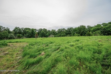These Mark Twain Lake acreage lots are located along the - photo 6