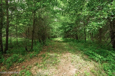 These Mark Twain Lake acreage lots are located along the - photo 8