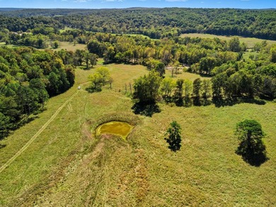 Southern Missouri Ranch - 400 Acres with Middlefork River, Two - photo 11