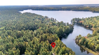 Lazy Days on the Manitowish Chain - A Rare Northwoods Legacy - photo 44